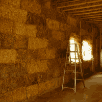 Bale walls before plastering
